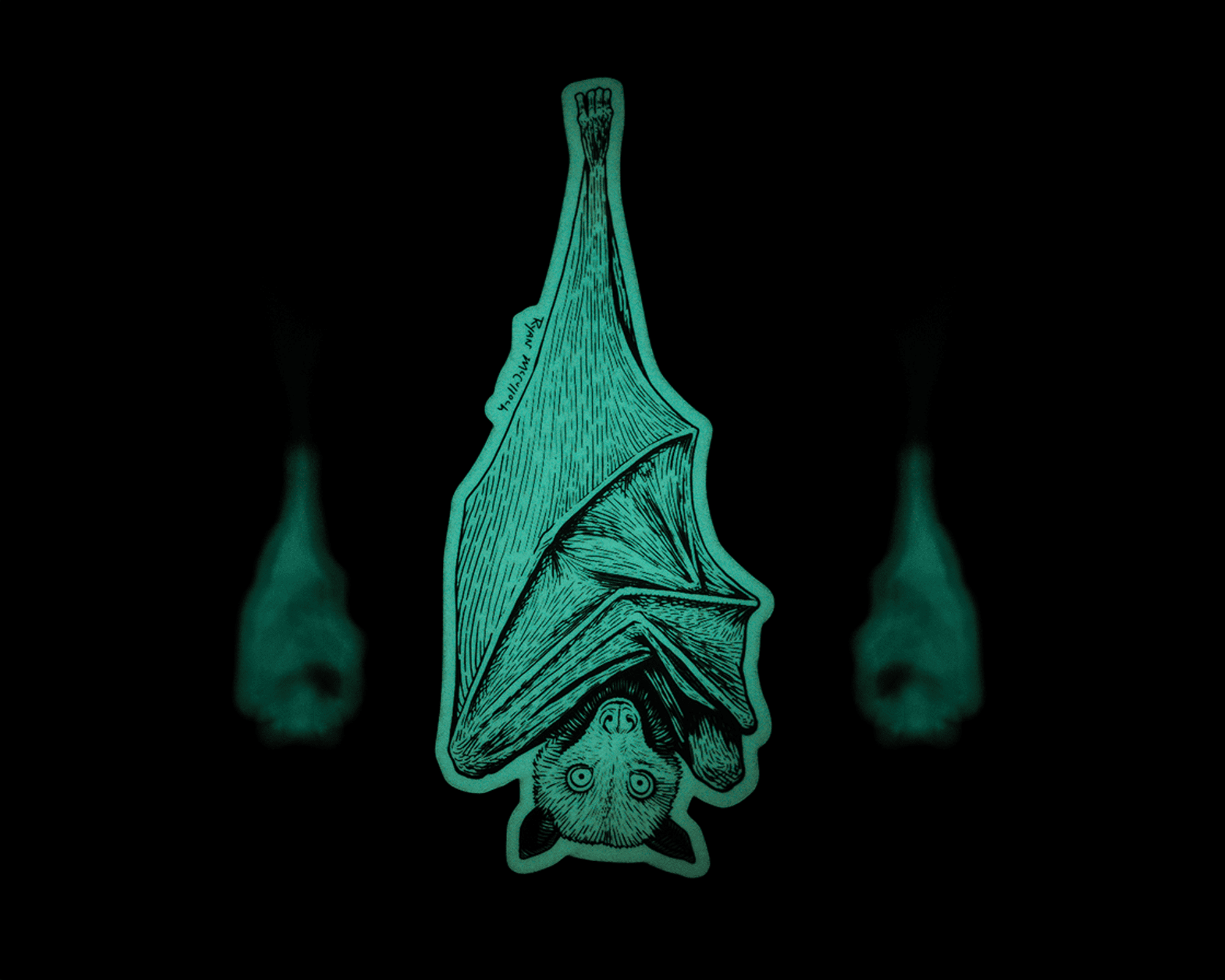 A glow in the dark sticker of a bat hanging upside down with wings wrapped around its body, set against a black background with two blurred bat reflections.